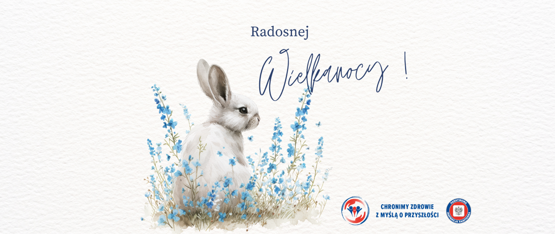 na zdjęciu biały króliczek siedzący wśród niebieskich kwiatów