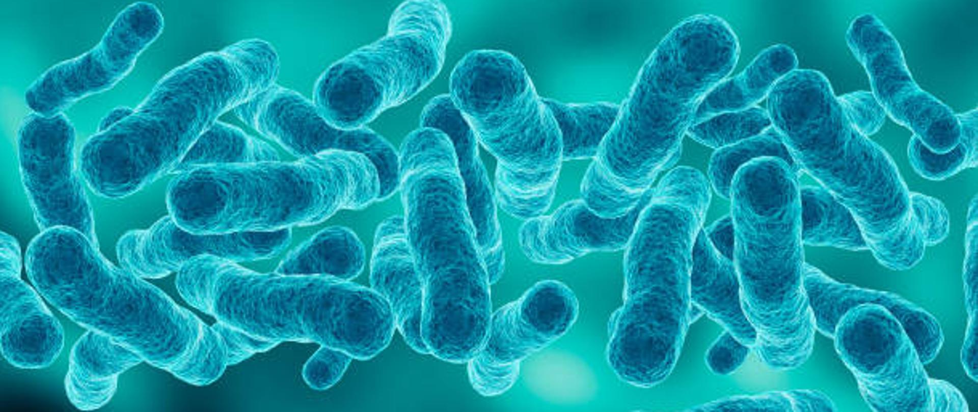 microscopic magnification Legionella pneumophila, Gram-negative bacillus that causes pneumonia. 3d illustration