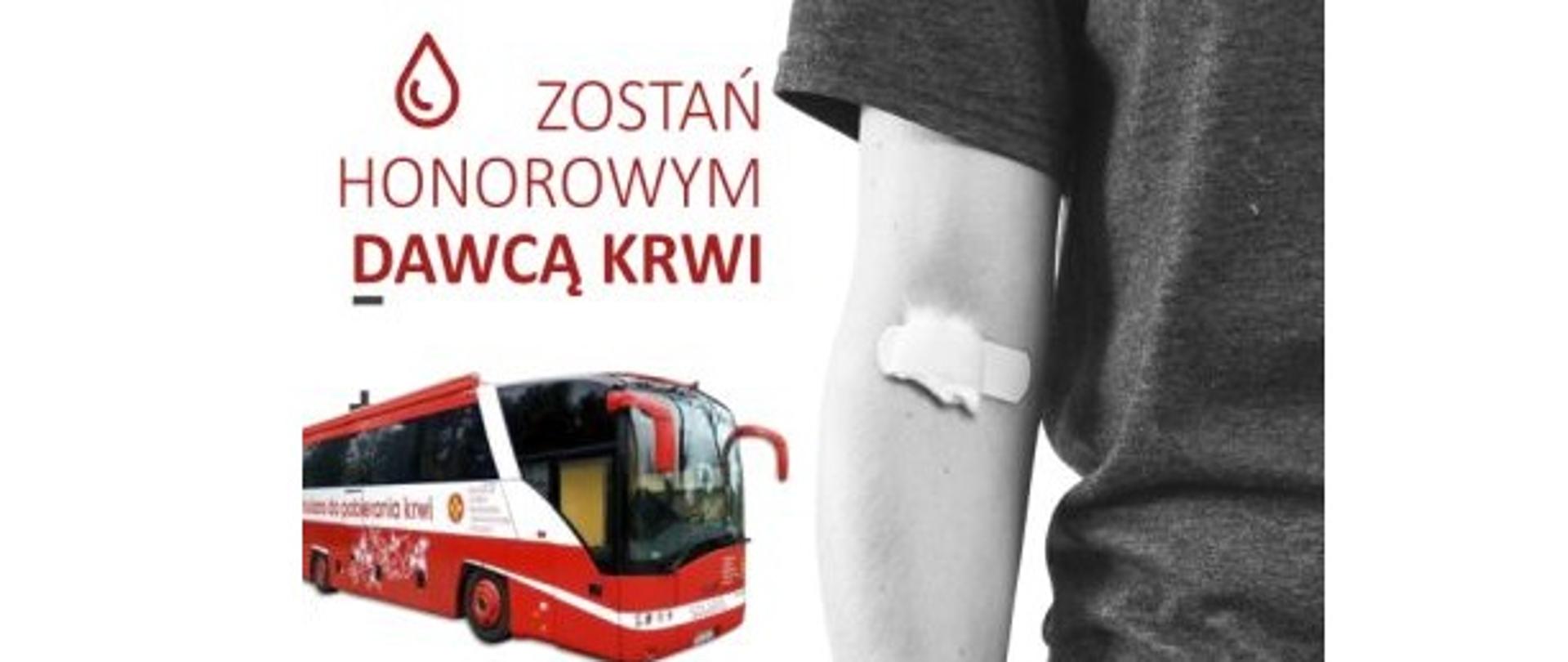 Plakat 17 marca 2022