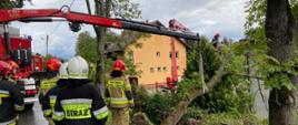 Strażacy usuwają powalone drzewo na budynek