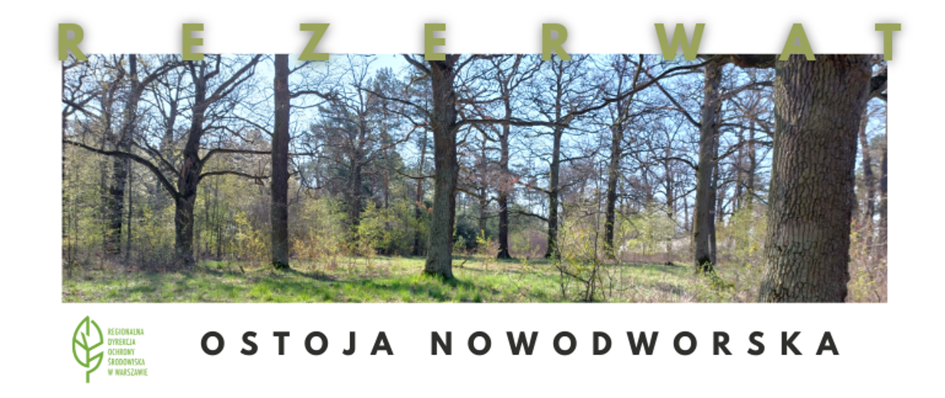 Trawa, pojedyncze drzewa i krzaki w lesie z wiosennymi listkami, błękitne niebo, napis: rezerwat, Ostoja Nowodworska 