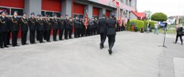 przeglad pododdzialow