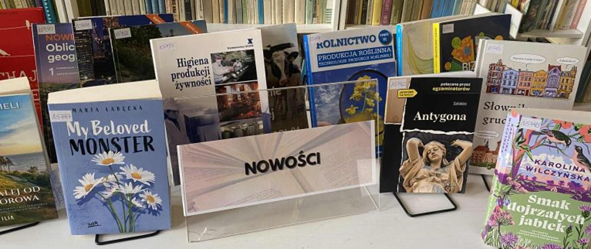 Zakup książek w ramach akcji "Październik miesiącem bibliotek szkolnych"