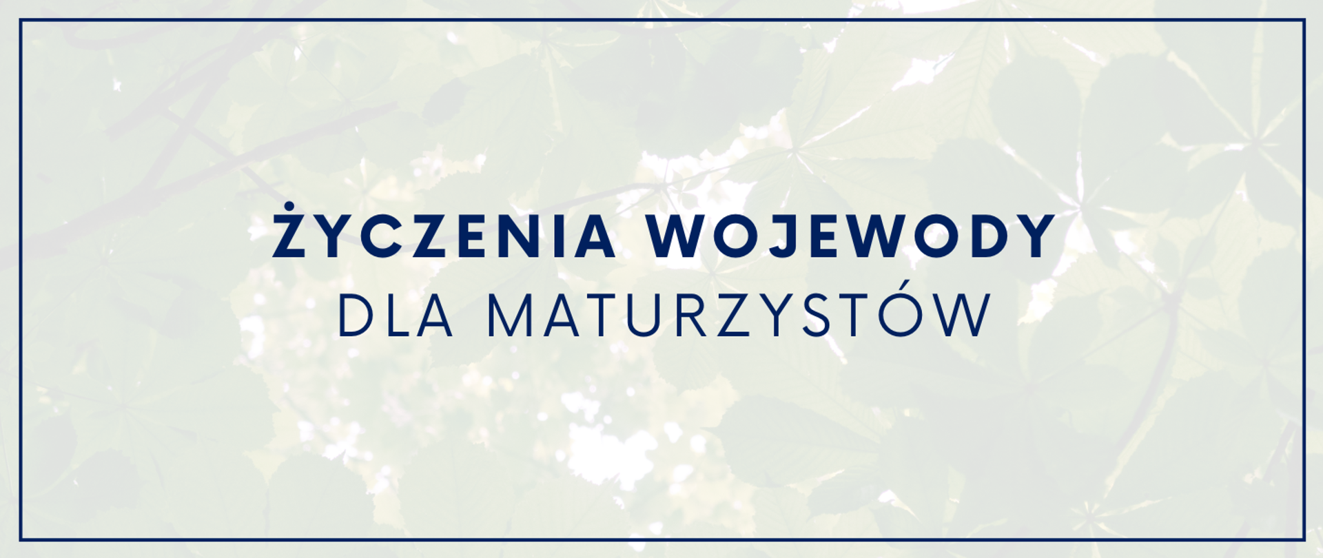 grafika z napisem życzenia wojewody dla maturzystów