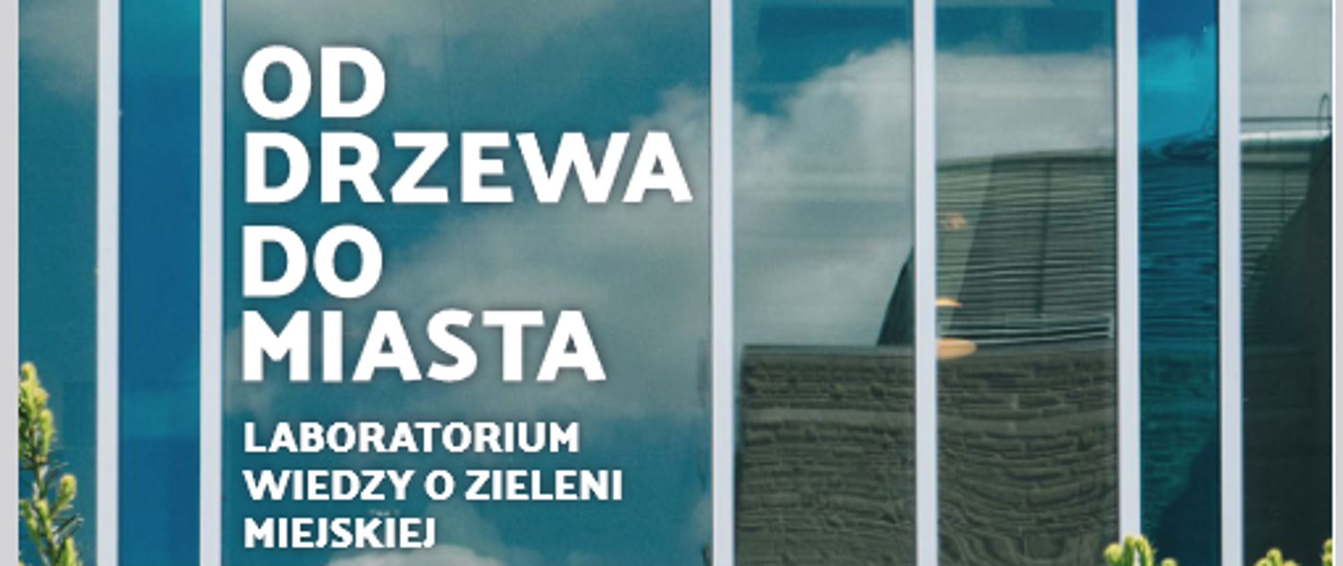 Projekt MF EOG Od drzewa do miasta: laboratorium wiedzy o zieleni miejskiej