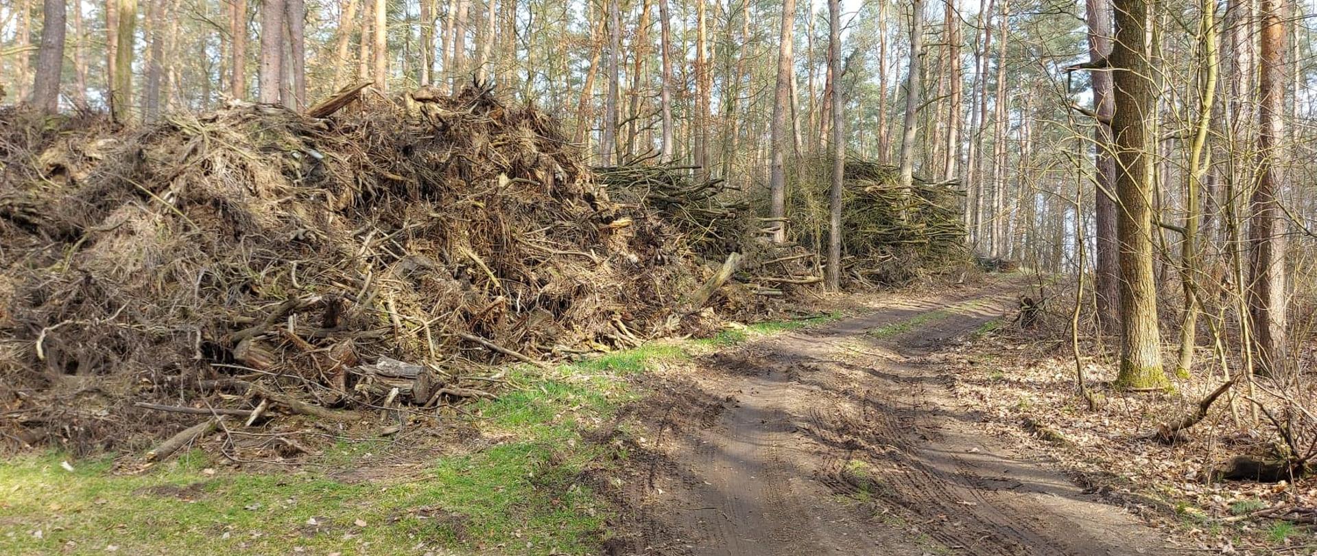 Na zdjęci znajduje się duża hałda gałęzi, która znajduje się w środku lasu pośród drzew. Po prawej stronie fotografii biegnie droga leśna. Drzewa nie mają liści, gdyż jest pora wiosenna.