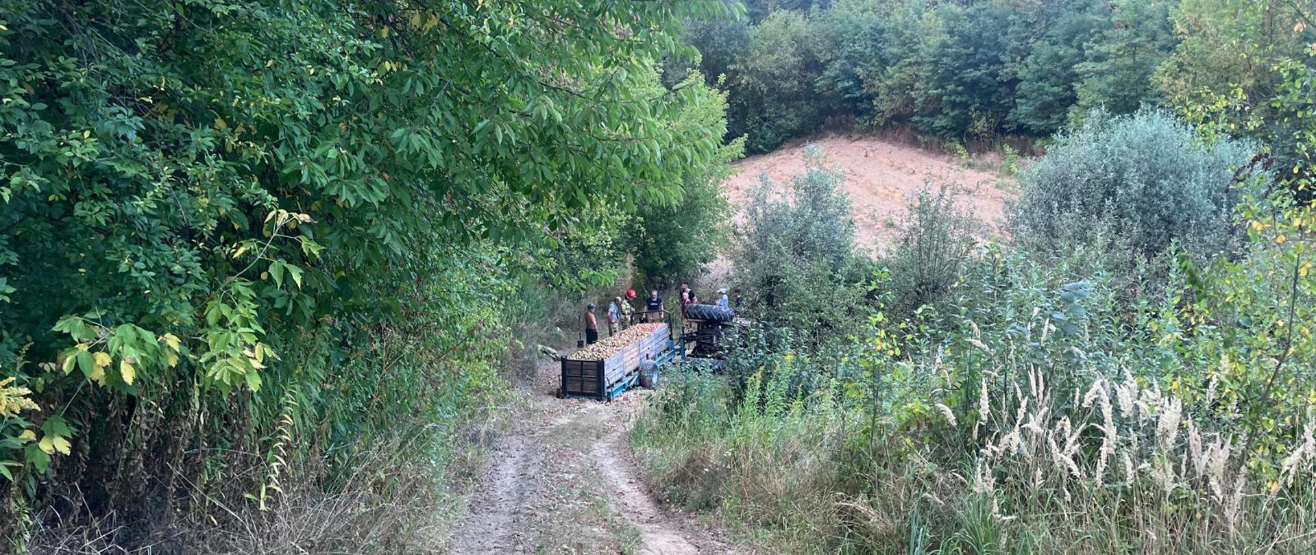 Przygniecenie przez ciągnik rolniczy