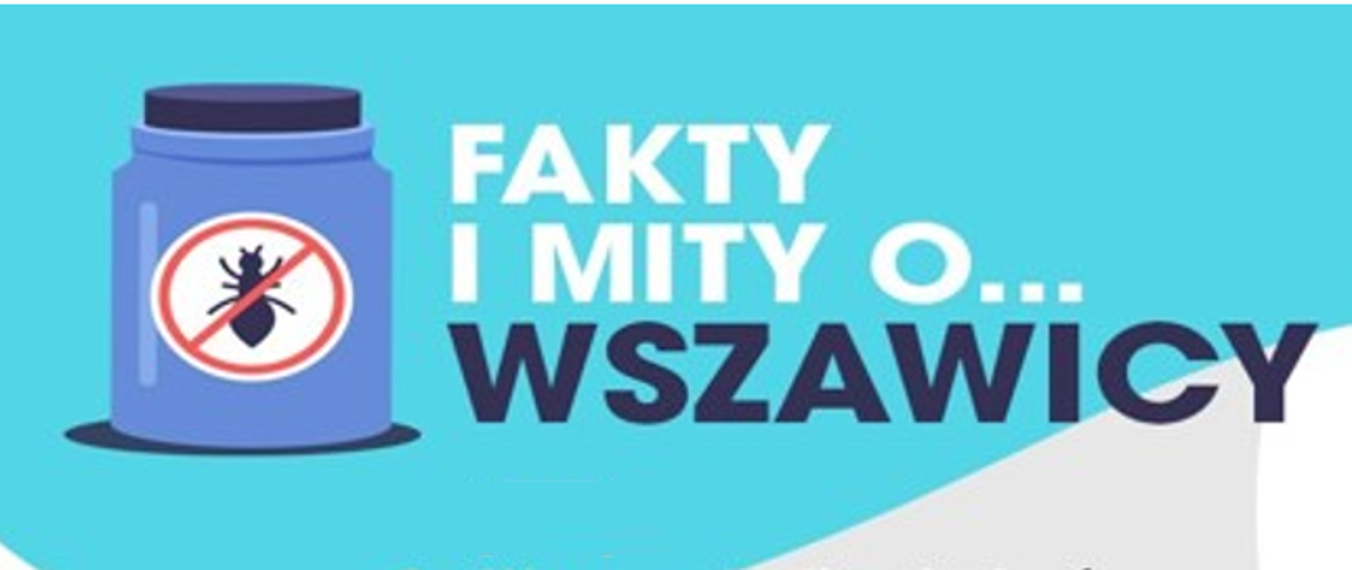 Fakty i mity o wszawicy
