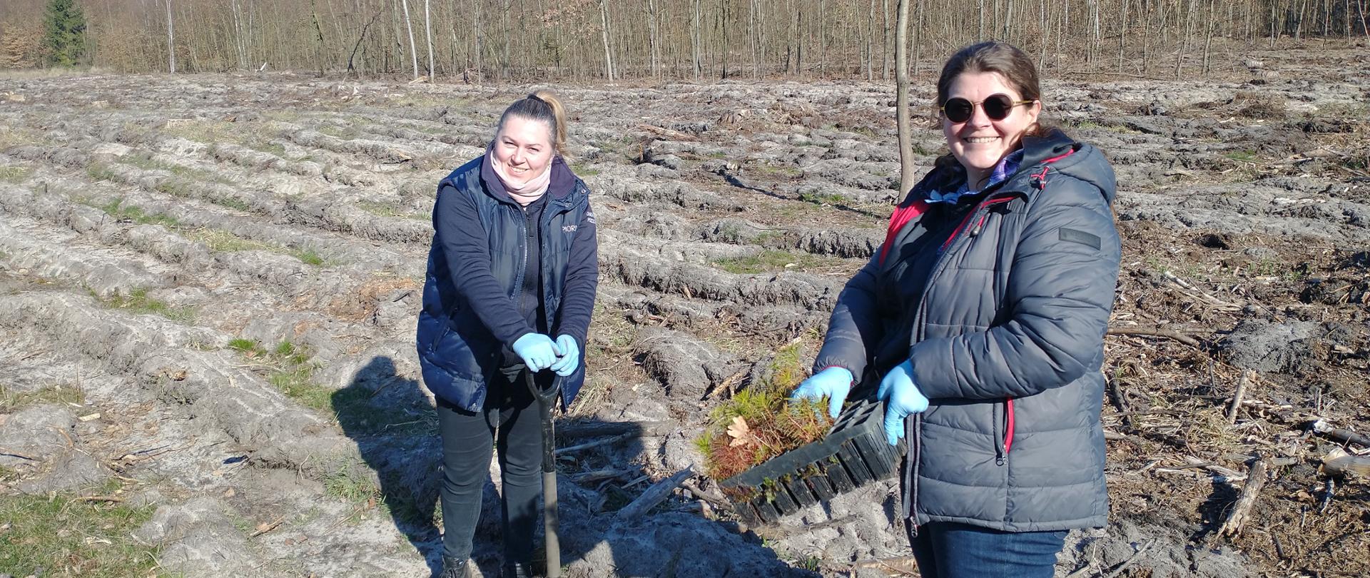 Dwie kobiety sadzące las. Jedna z kobiet trzyma skrzynkę z sadzonkami, druga wbija szpadel w ziemię.