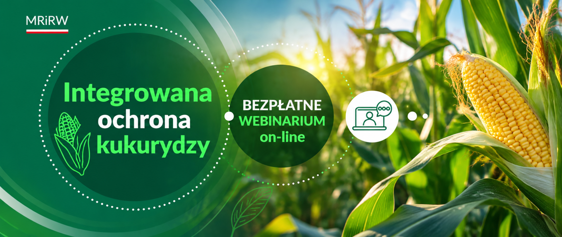 Główne