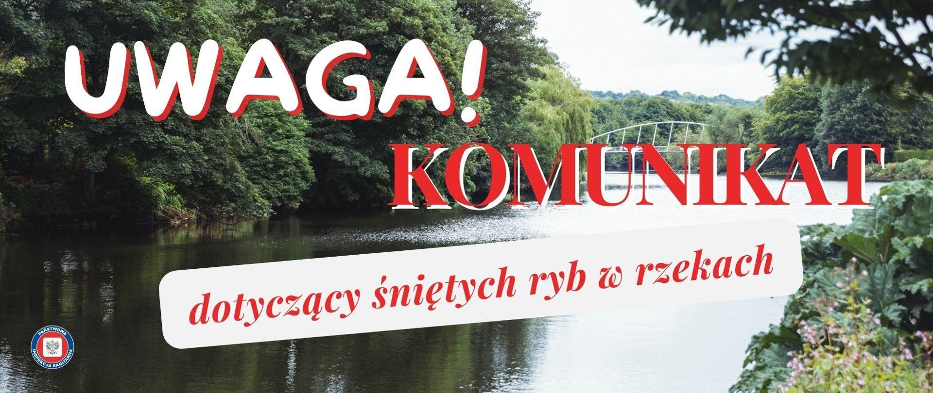 Rzeka z zarośniętymi lasem brzegami oraz mostem w tle