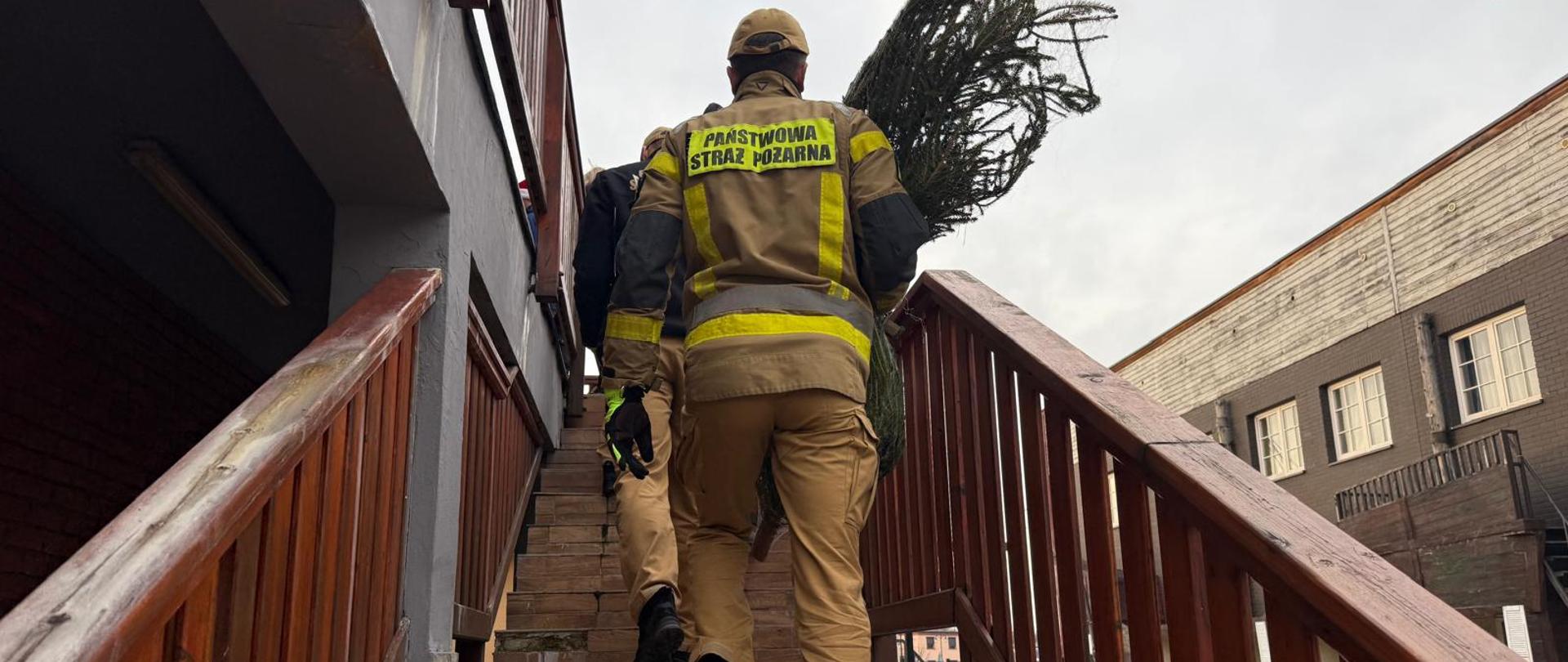 Strażak z choinką w rękach wchodzi po schodach zewnętrznych na piętro budynku. 