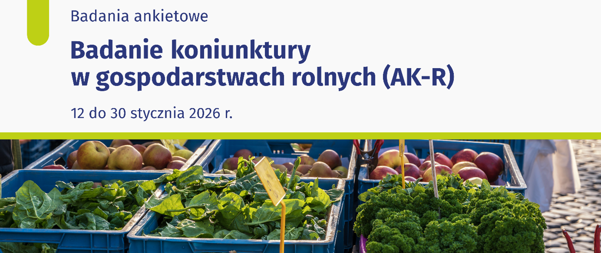 Grafika informacyjna GUS zapowiadająca badanie koniunktury w gospodarstwach rolnych (AK-R), prowadzone od 12 do 30 stycznia 2026 r.; na dole zdjęcie skrzynek z warzywami i owocami na targu.
