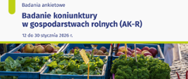 Grafika informacyjna GUS zapowiadająca badanie koniunktury w gospodarstwach rolnych (AK-R), prowadzone od 12 do 30 stycznia 2026 r.; na dole zdjęcie skrzynek z warzywami i owocami na targu.