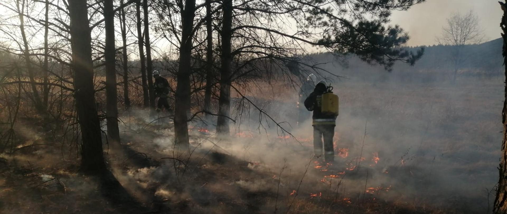 Pożary traw i nieużytków