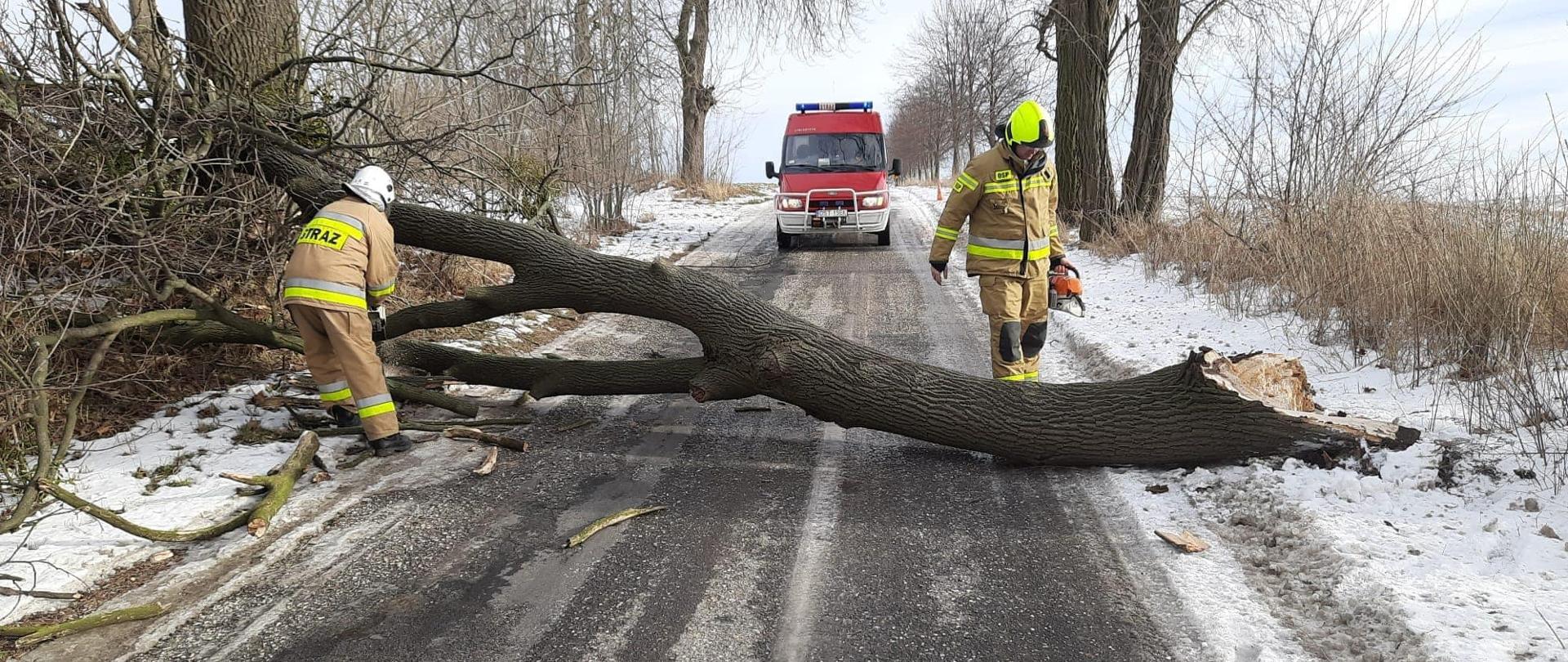 Na zdjęciu znajduje się samochód strażacki, dwóch strażaków ubranych w umundurowanie specjalne oraz konar drzewa leżacy na jezdni