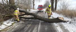 Na zdjęciu znajduje się samochód strażacki, dwóch strażaków ubranych w umundurowanie specjalne oraz konar drzewa leżacy na jezdni
