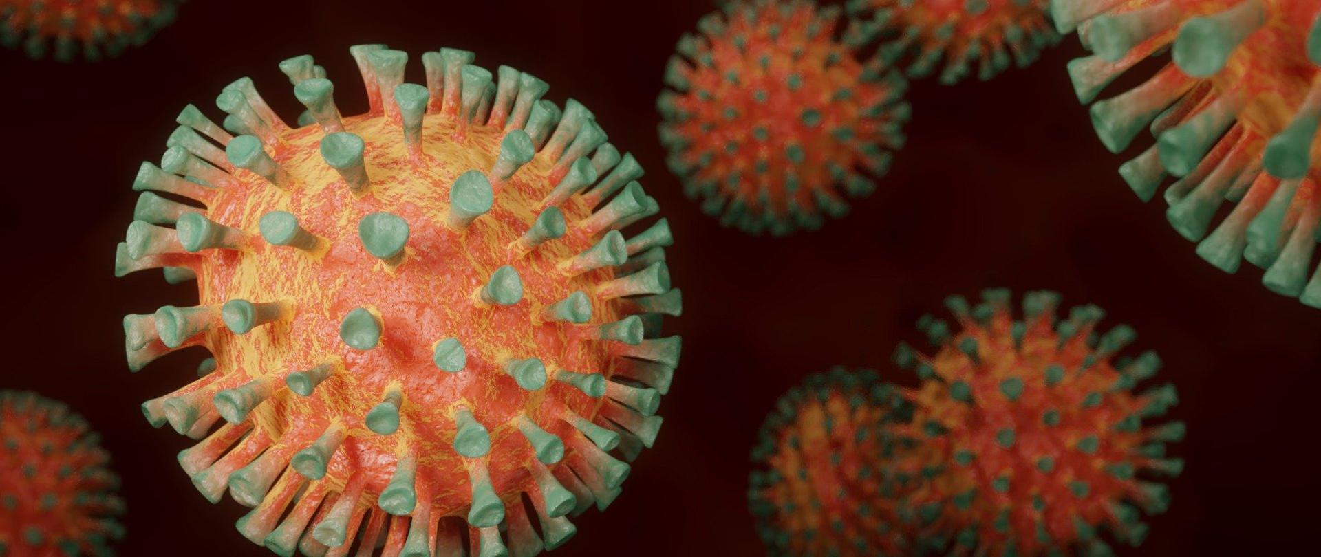 wizerunek koronawisrusa 