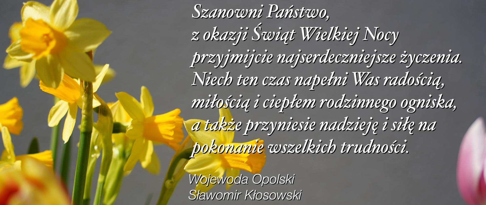 Na zdjęciu kolorowe kwiaty, ulokowane po lewej stronie kadru. Stanowią one tło. Na pierwszym planie widać napis - to życzenia od wojewody opolskiego. W tle szare tło.