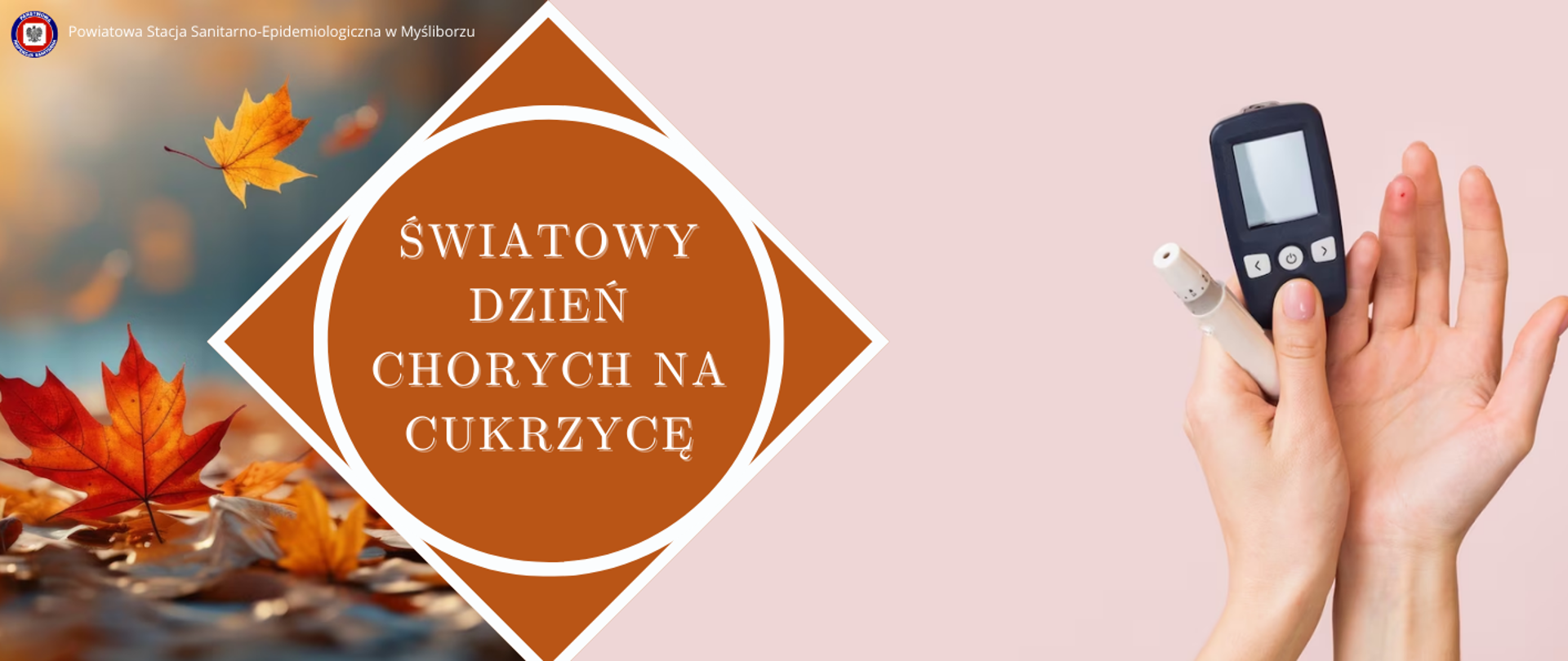 Baner Światowy Dzień Chorych na Cukrzyce