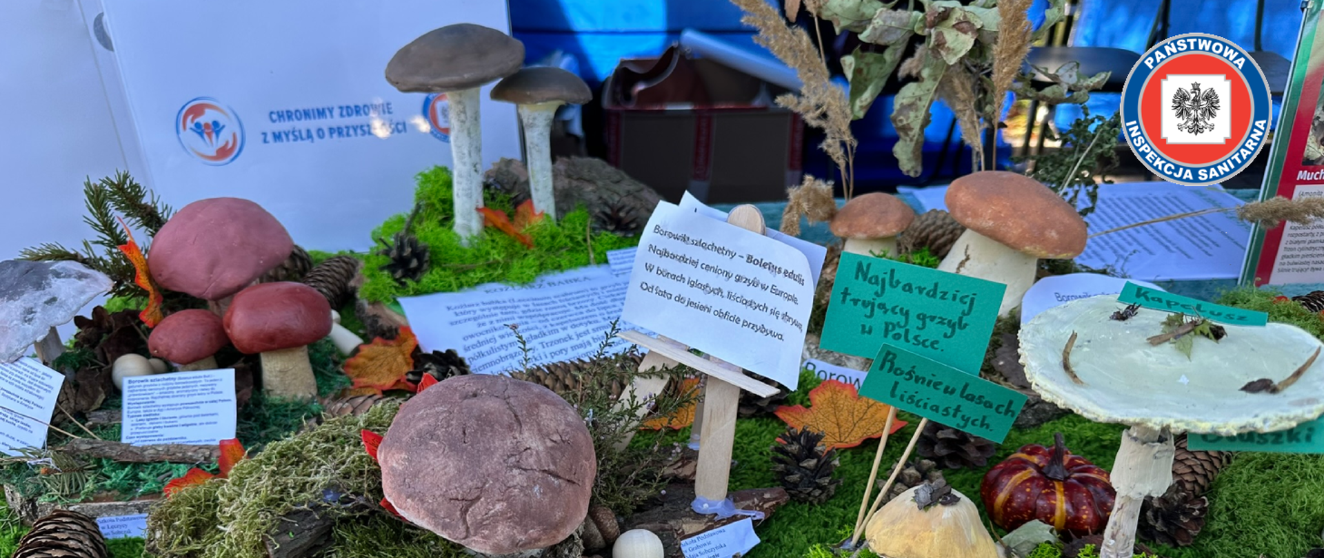 Finał konkursu profilaktycznego „Grzyby – poznaj, zrozum, nie pomyl!”