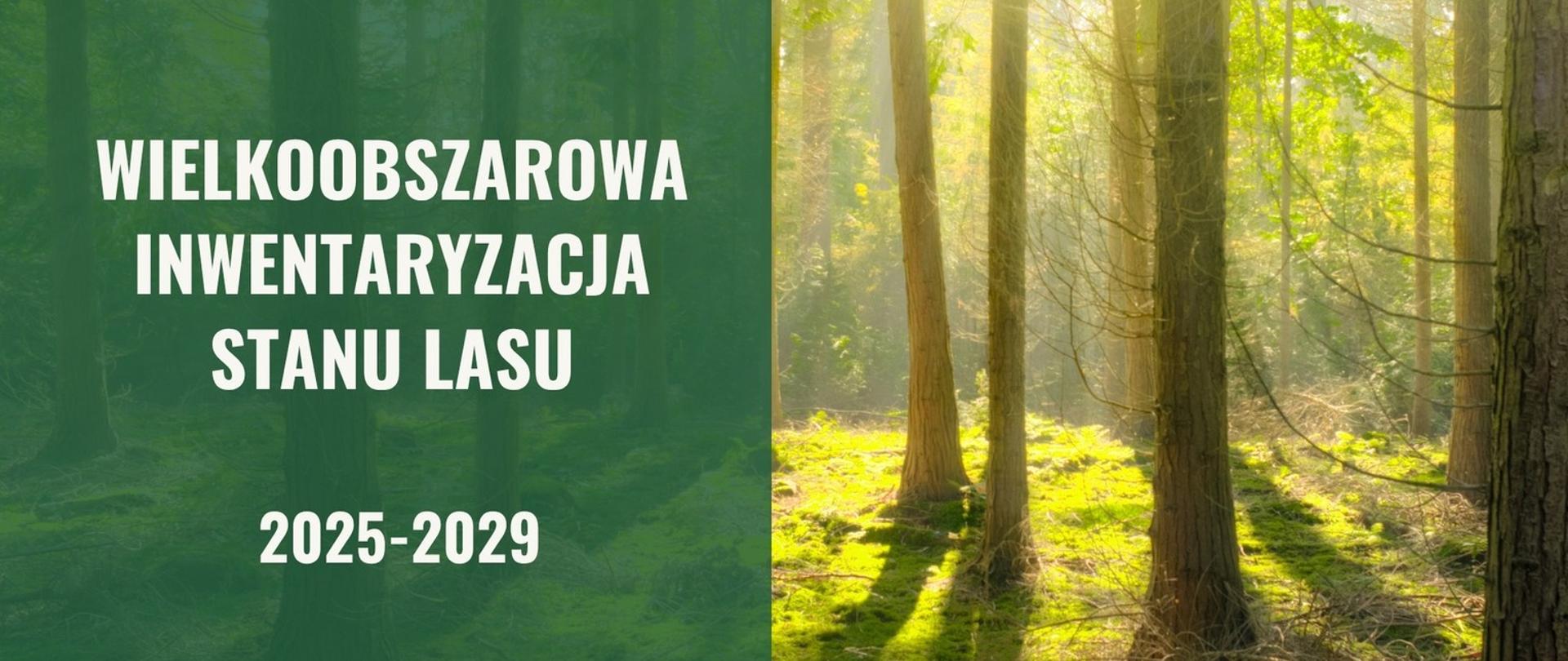 Wielkoobszarowa Inwentaryzacja Stanu Lasu 2025-2029