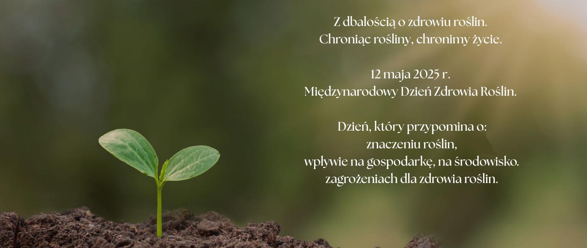 Międzynarodowy Dzień Zdrowia Roślin