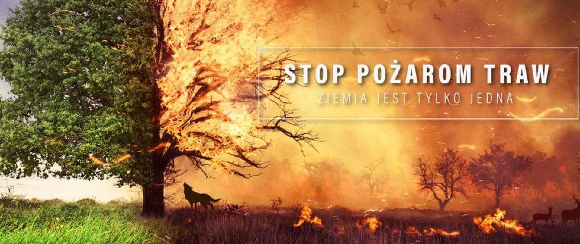 Na zdjęciu drzewo w płomieniach , pożar i zagrożone zwierzęta