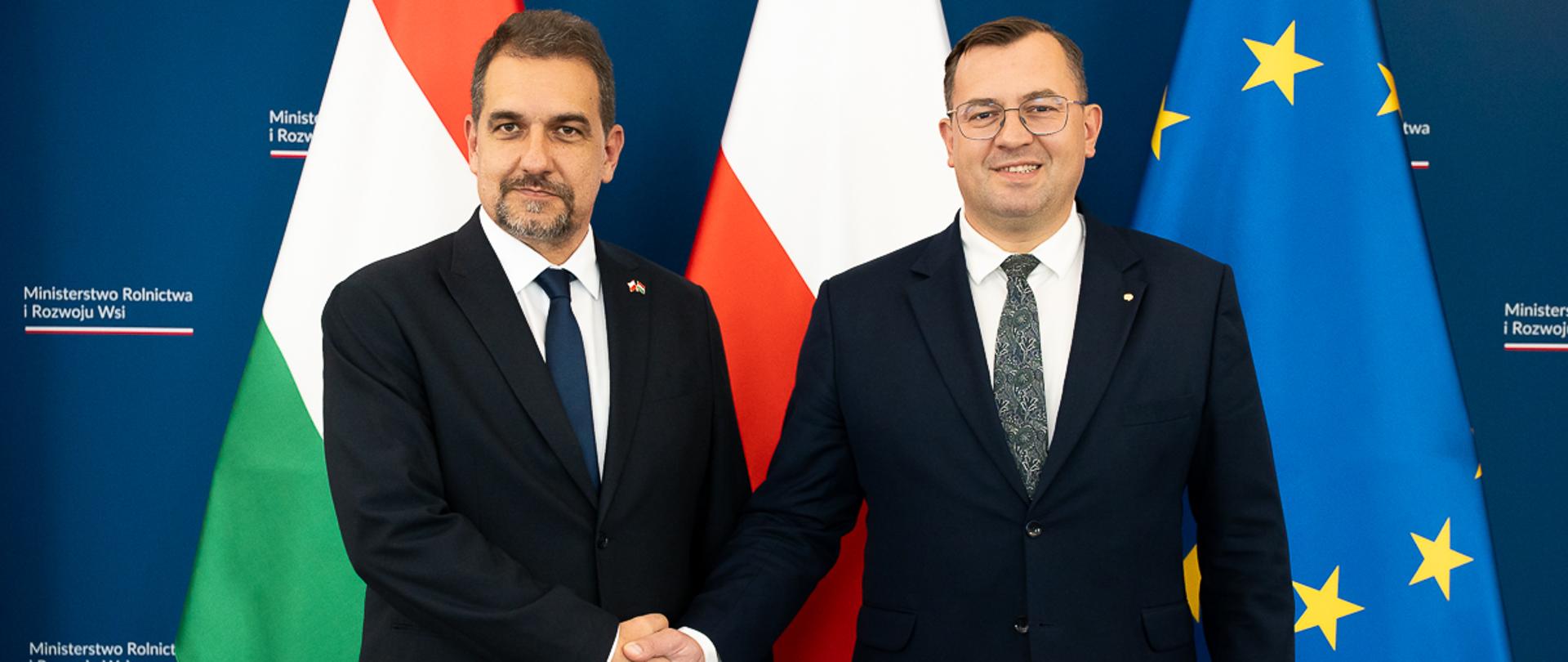 foto główne