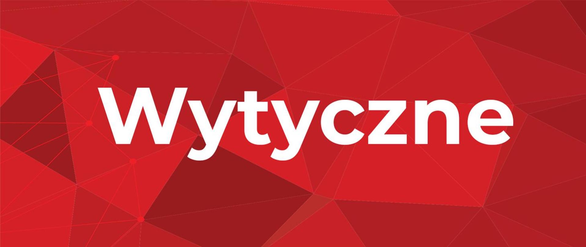 Wytyczne - Bitwa o Remizy