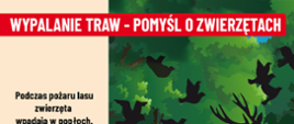 JUŻ 1 MARCA RUSZA KAMPANIA STOP POŻAROM TRAW [23.02.2024]