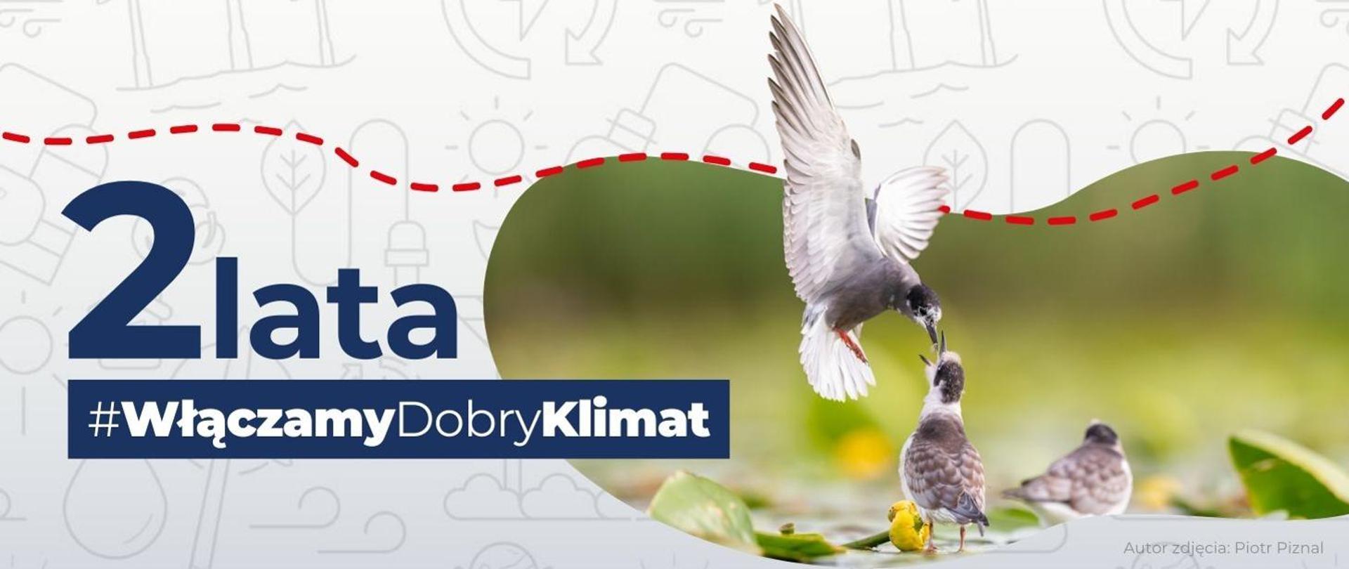 Two years of action for climate and environment