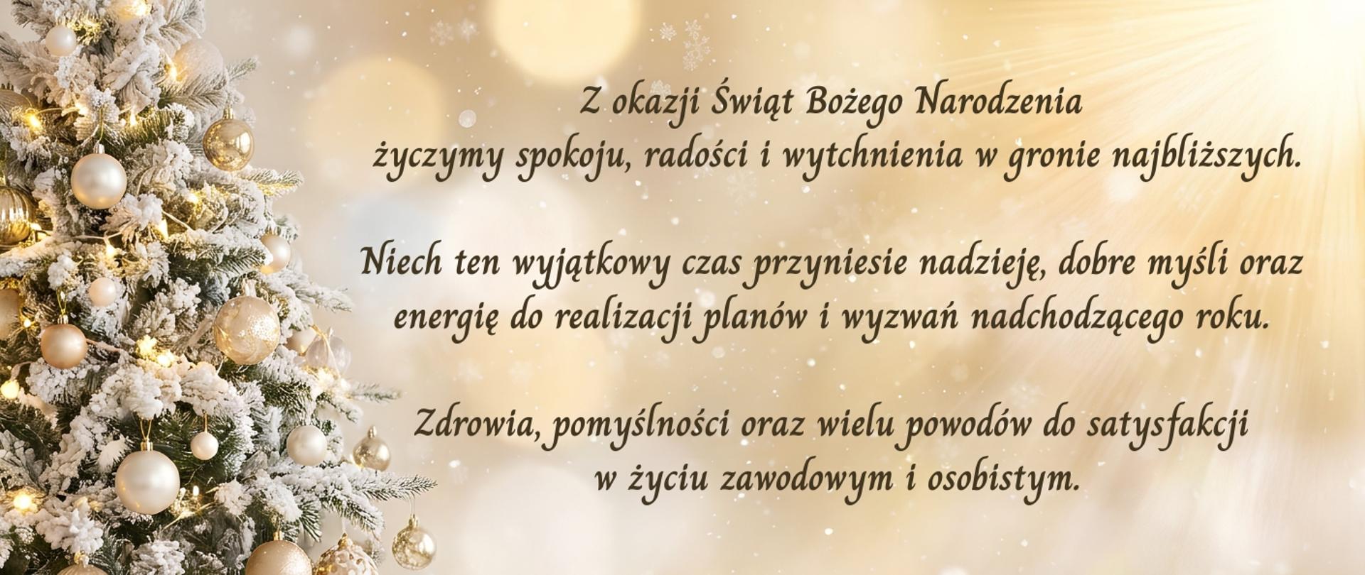 Życzenia świąteczne 2025