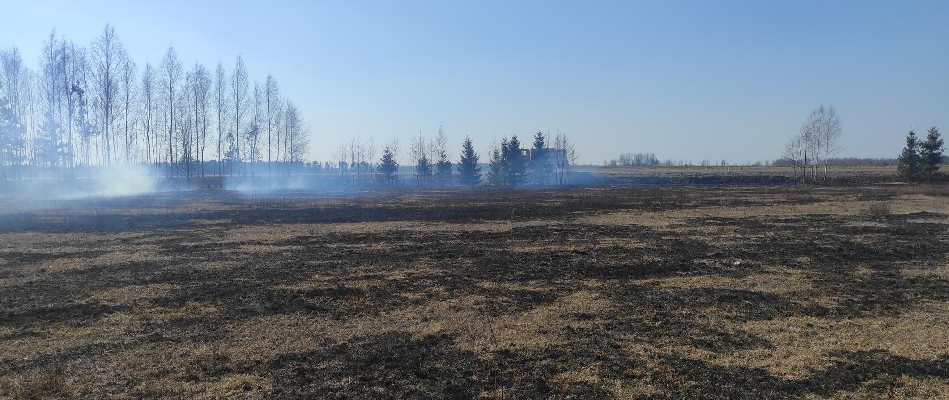Widoczna spalona trawa, słoneczna pogoda, w tle dym i pojazd gaśniczy