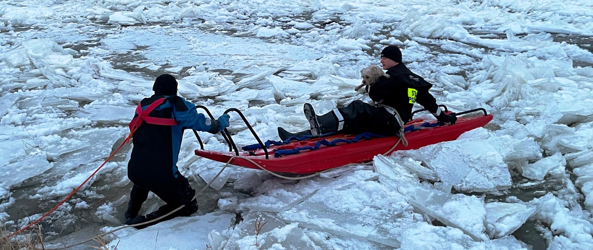 Popękana kra na rzece, strażak na saniach lodowych trzymający psa, drugi strażak asekuruje sanie, po lewej brzeg.
