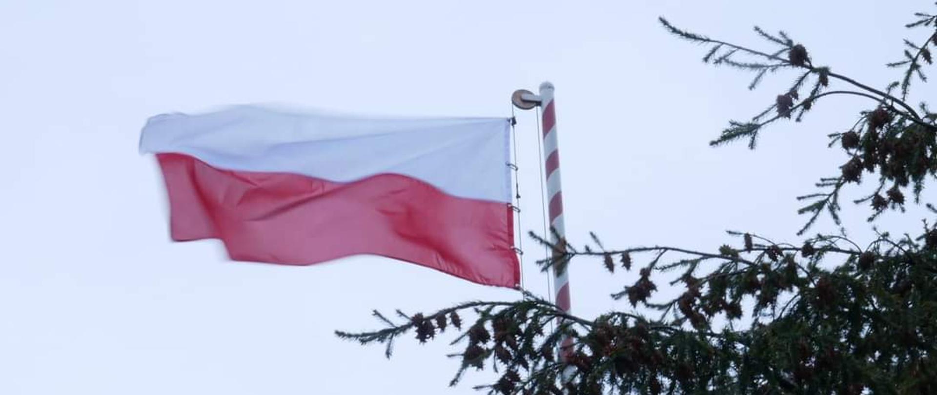 Zdjęcie przedstawia flagę RR trzepoczącą na maszcie