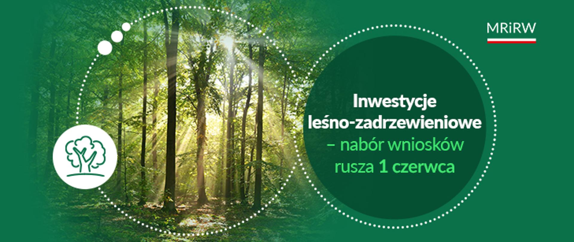 Wsparcie na inwestycje leśno-zadrzewieniowe