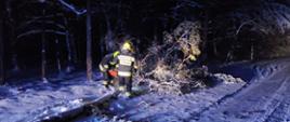 Na zdjęciu strażacy tną powalone drzewo na mniejsze kawałki celem usunięcia