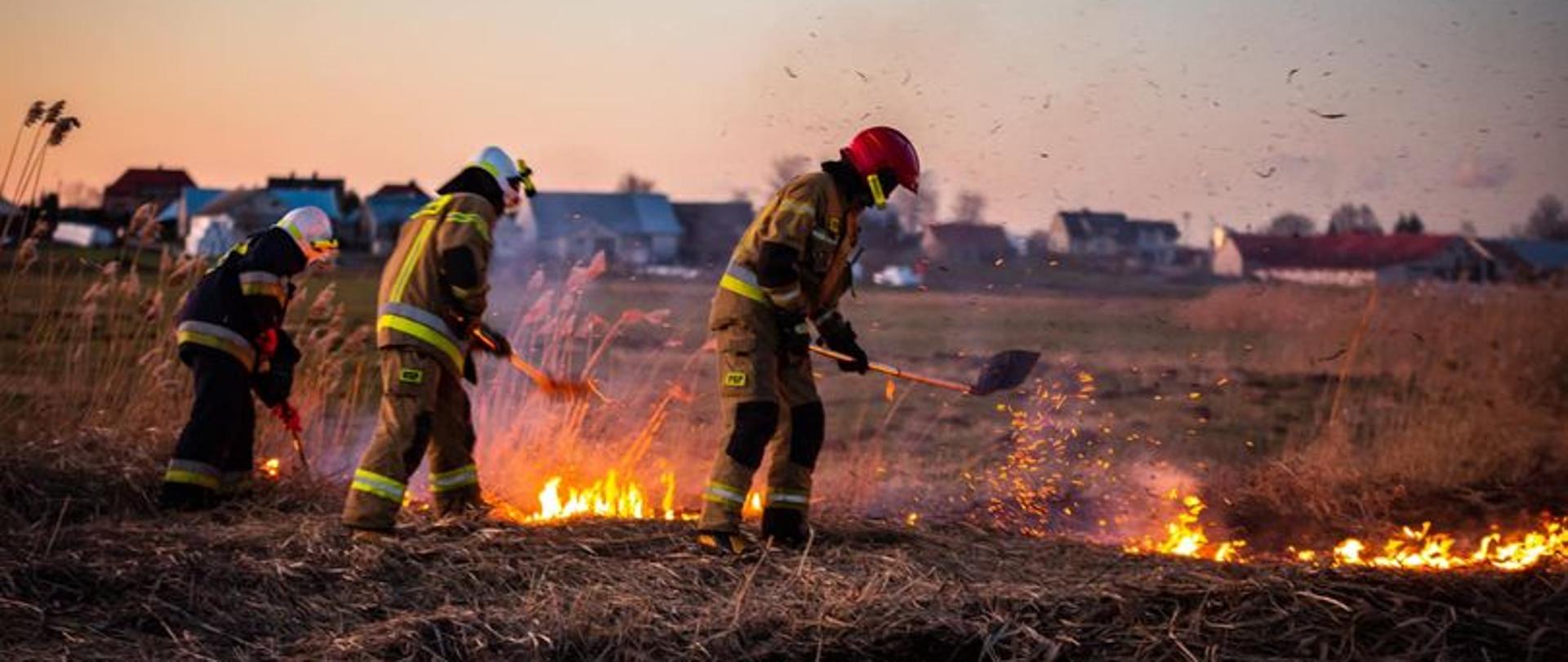 Strażacy gaszący pożar traw
