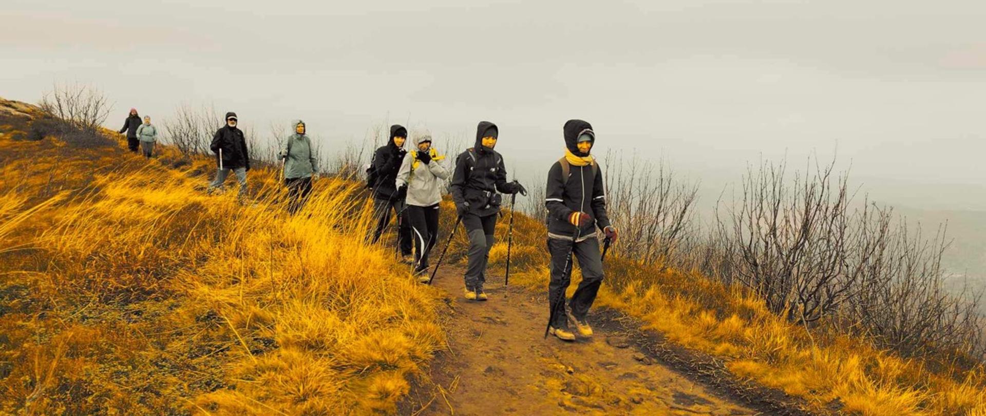 Uczniowie PLSP na bieszczadzkim szlaku 