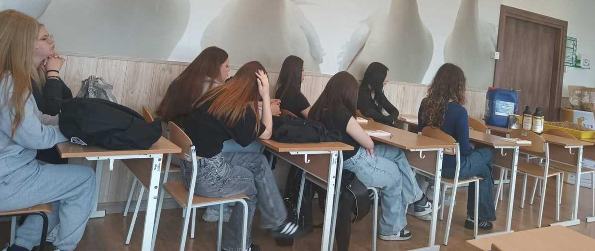 Zdjęcie przedstawia grupę młodzieży siedzącą w ławkach szkolnych na tle nietypowej fototapety z gęsiami.Opis pierwszego planuW dolnej części kadru widoczna jest klasa lekcyjna. Wzdłuż rzędu drewnianych brązowych biurek z metalowymi stelażami siedzi tyłem lub bokiem do obiektywu około siedmiu osób, głównie dziewcząt z długimi włosami. Są ubrani w codzienne stroje: jeansy, dresy i ciemne koszulki. Część osób opiera się o blaty, rozmawia lub patrzy w stronę niewidocznego dla widza przodu sali. Na krzesłach i ławkach leżą plecaki.Opis tła i otoczeniaCałą ścianę za uczniami zajmuje ogromna, jasna fototapeta przedstawiająca cztery białe gęsi z pomarańczowymi dziobami. Ptaki są ukazane od piersi w górę i wydają się „zaglądać” do sali lekcyjnej. W prawym górnym rogu, pod sufitem, podwieszona jest metalowa rura z czerwono-pomarańczowymi elementami automatycznego systemu karmienia lub pojenia drobiu. Po prawej stronie widoczne są zamknięte drewniane drzwi, a obok nich na stoliku stoją plastikowe kanistry i butelki z produktami weterynaryjnymi lub paszowymi.Kompozycja i oświetlenieZdjęcie zostało zrobione z boku sali, z wysokości oczu siedzących osób. Pomieszczenie jest jasno oświetlone sztucznym, ciepłym światłem sufitowym. Dominują odcienie bieli, szarości, brązu oraz wyraziste pomarańczowe akcenty dziobów i elementów wyposażenia rolniczego. Kadrowanie łączy codzienny widok lekcji z surrealistycznym motywem hodowlanym na ścianie.