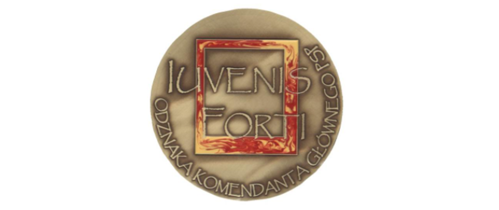 Odznaka Komendanta Głównego PSP „Iuvenis Forti”