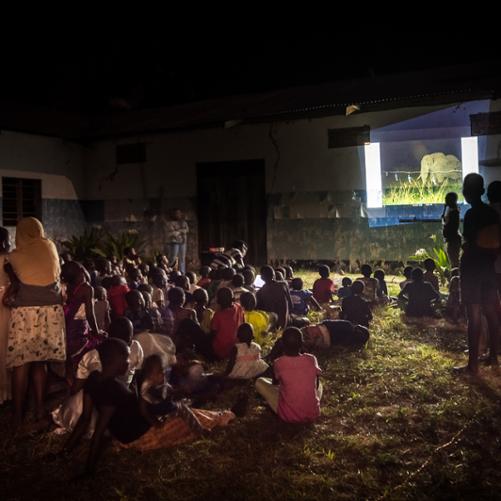 Poprawa wspólistnienia ludzi i słoni w dolinie Kilombero w Tanzanii poprzez ogrodzenia-ule tworzone przez rolników oraz edukację dzieci i dorosłych fot. Amb. RP w Tanzanii
