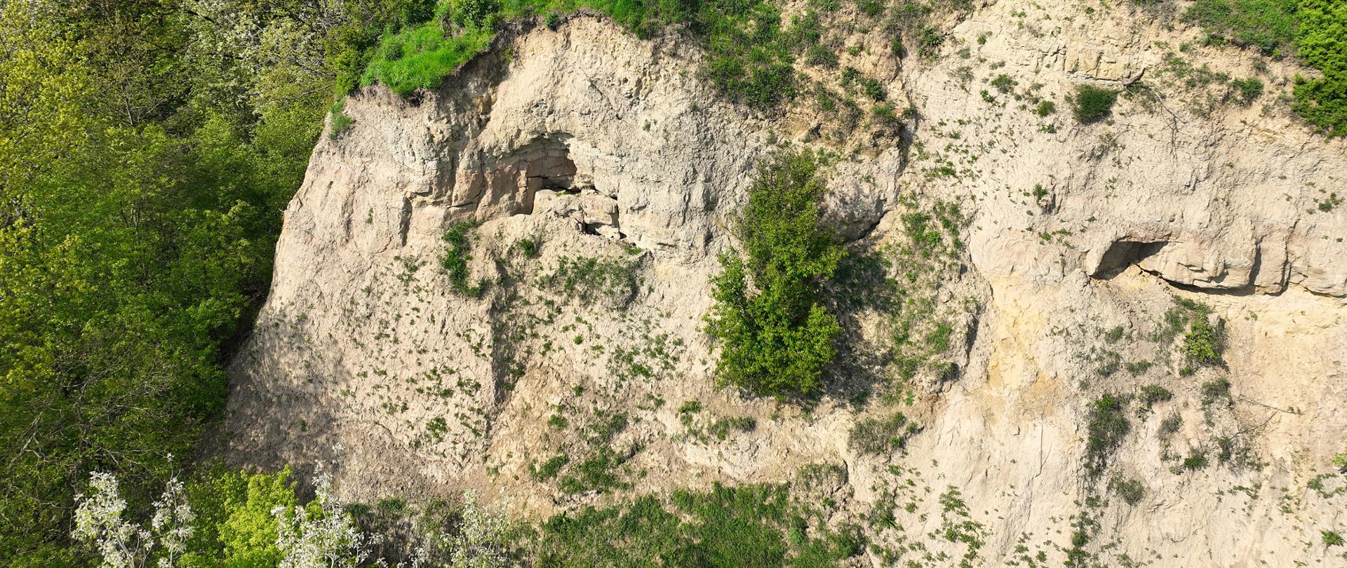 Rezerwat przyrody Czarcie Góry, fot. Archiwum RDOŚ w Bydgoszczy