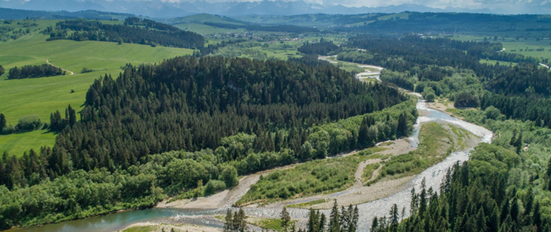 Zdjęcie - panorama. Widok przedstawia z góry pod kątem pofałdowany krajobraz pokryty trawą i drzewami. Na środku widoczny las i meandrująca rzeka z miejscami piaszczystym brzegiem.