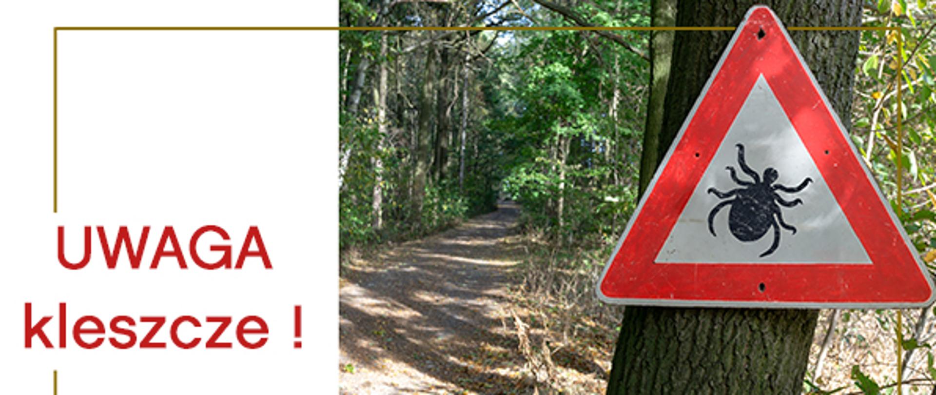 kleszcze