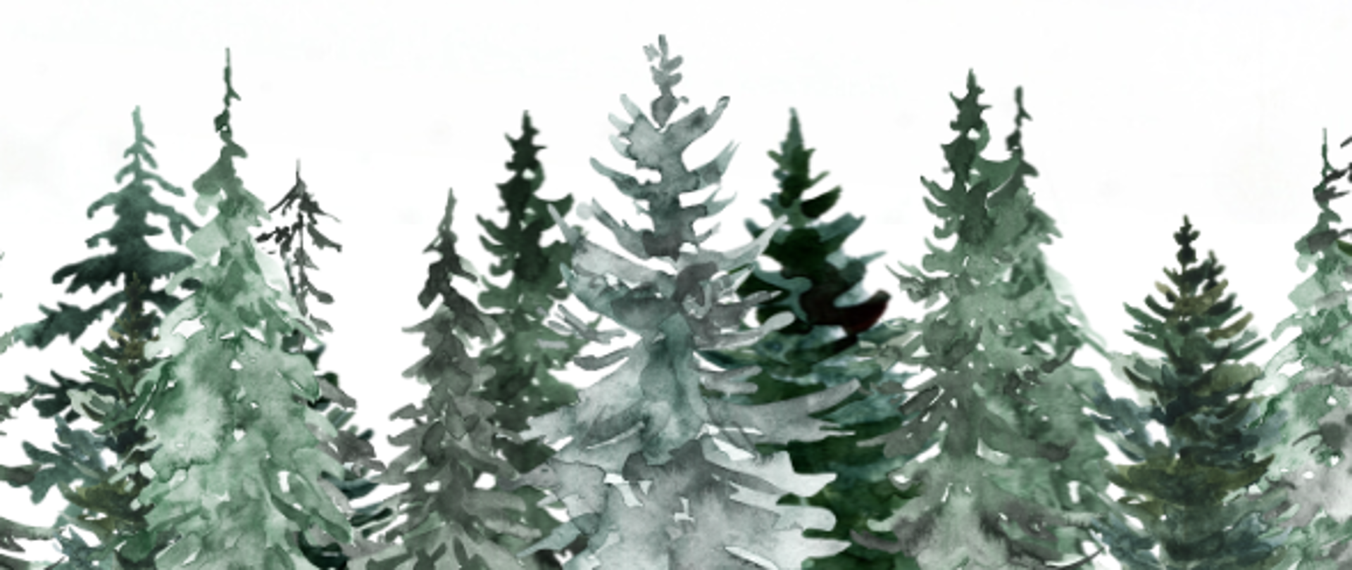 Kartka Świąteczna z życzeniami. W górnej części znajdują się zielone gałązki choinki, w środkowej części białe płatki śniegu, a na dole rząd ośnieżonych choinek. 