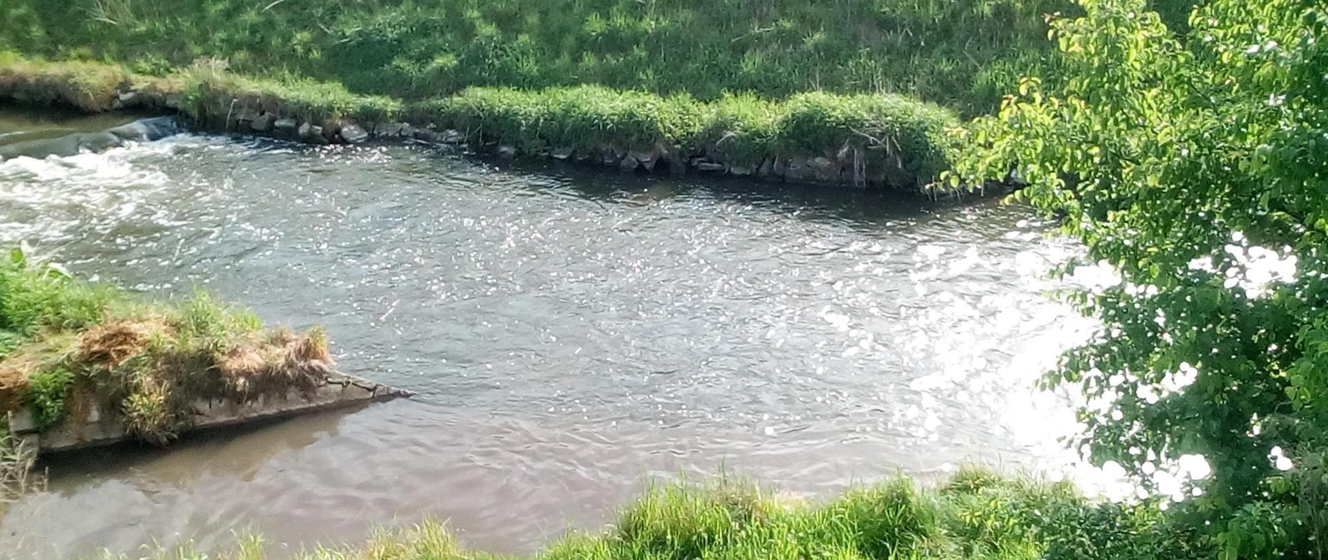 Rów Michałkowicki - wlot do Brynicy