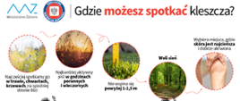 gzie_można_spotkać_kleszcze?
