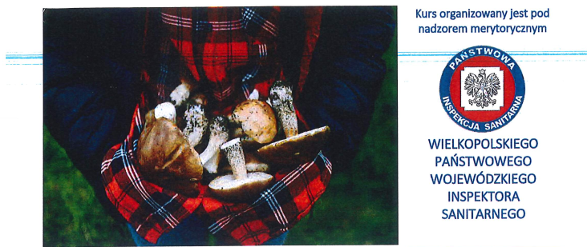 Kurs klasyfikatora grzybów świeżych